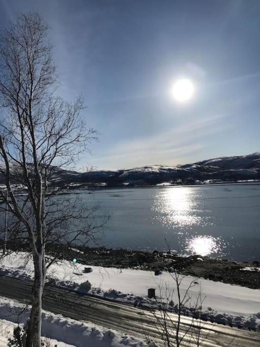 Trivelig Fritidshus Pa Arnes, Senja Straumstad Экстерьер фото